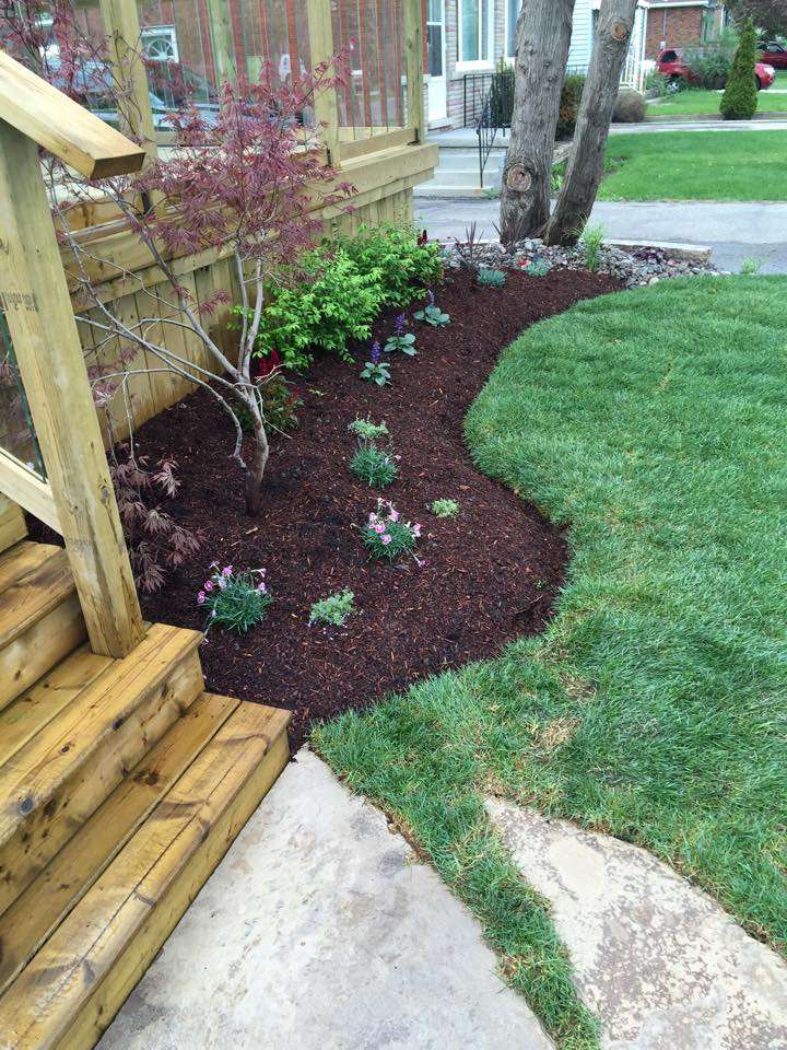 Professional garden care