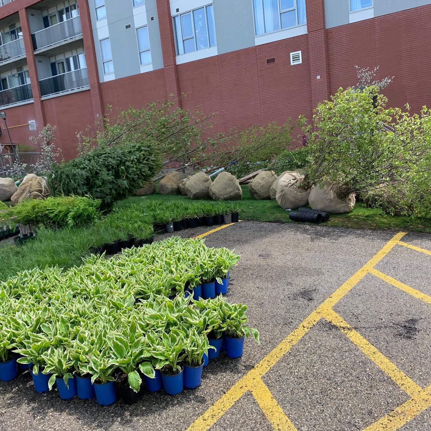 Garden preparation and cleanup