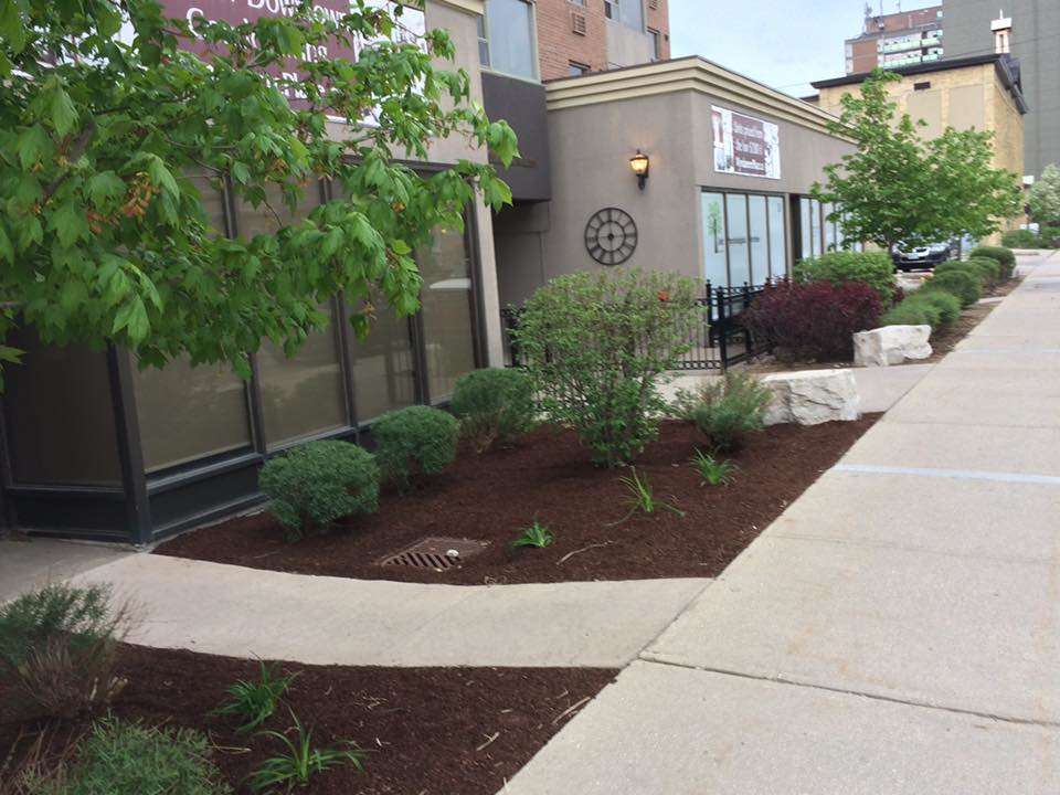 Professional lawn maintenance